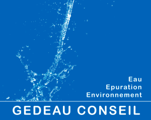 gedeau-logo 21-02-43